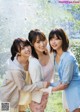 Risa Watanabe 渡邉理佐, Yui Kobayashi 小林由依, Yuuka Sugai 菅井友香, Young Magazine 2020 No.01 (ヤングマガジン 2020年1号) P2 No.d93c4f