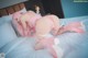 HaNari 하나리, [DJAWA] Pink Succubus Set.01 P14 No.bc3a90 Image No. 99